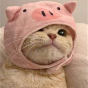 Meet your Posher, Leeann